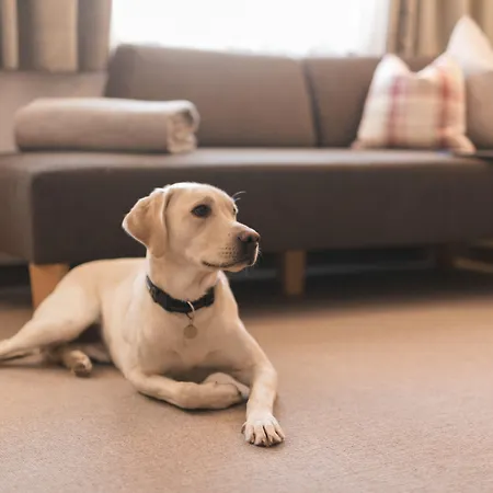 Nationalpark Grossglockner מלון