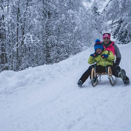 מלון Nationalpark Grossglockner היליגנבלוט