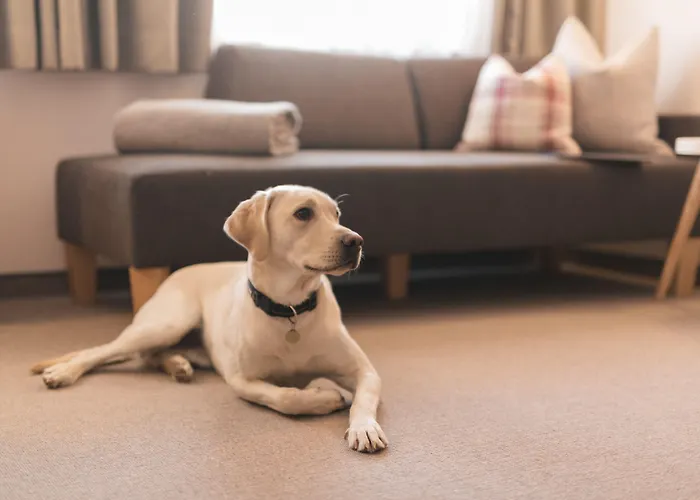 Nationalpark Grossglockner Szálloda
